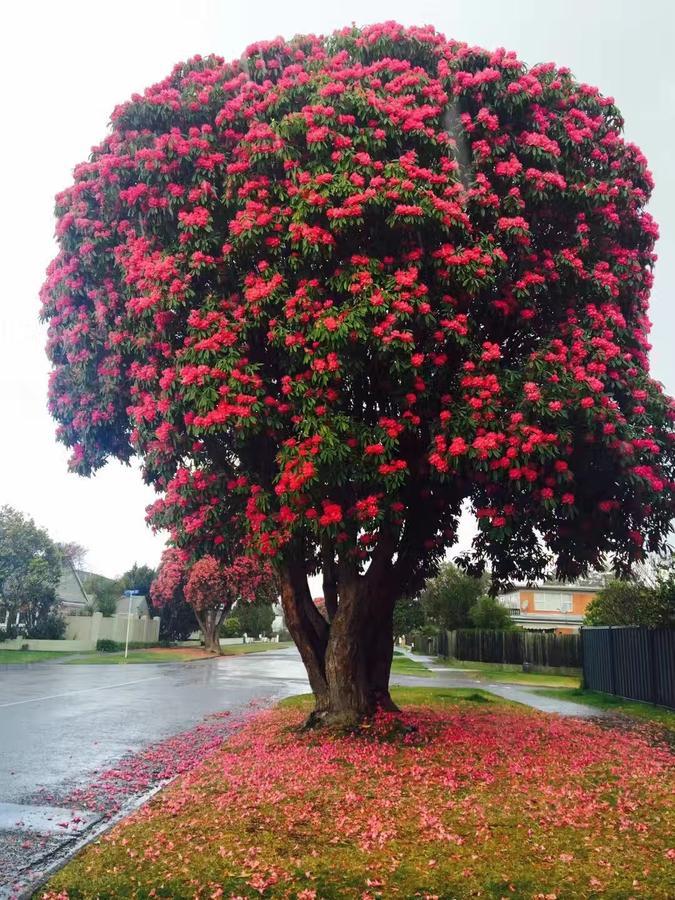 Rotorua City Center Holiday House Ngoại thất bức ảnh